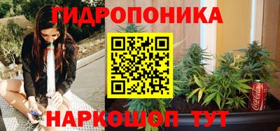 гашик Будённовск