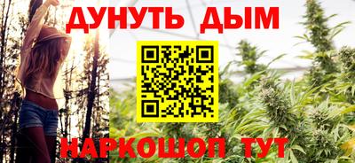 гашик Будённовск
