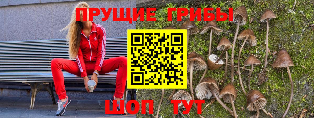 Галлюциногенные грибы Cubensis Южноуральск