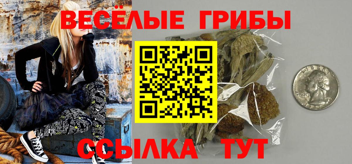 Южноуральск  Псилоцибиновые грибы MAGIC MUSHROOMS  Вход с VPN 